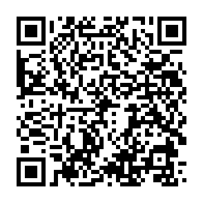 2ГИС для Windows Phone (настоящий)